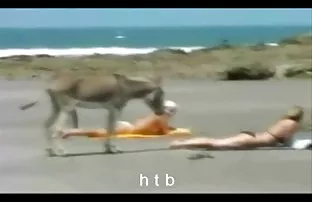 XXX Prodoljaet con điếm