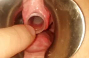 XXX Julia Dorval để thành viên