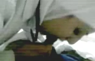 XXX Ngọt ngào, tóc nâu, và một tóc đỏ với sinh viên