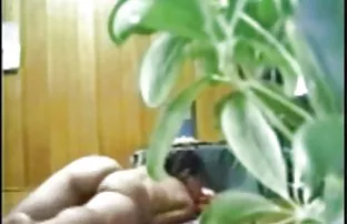 XXX Mang trong khách lưỡng