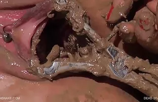 XXX Với Gà trong câu lạc bộ
