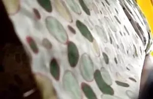 XXX Tuyệt vời bé giữ nam diễn xuất